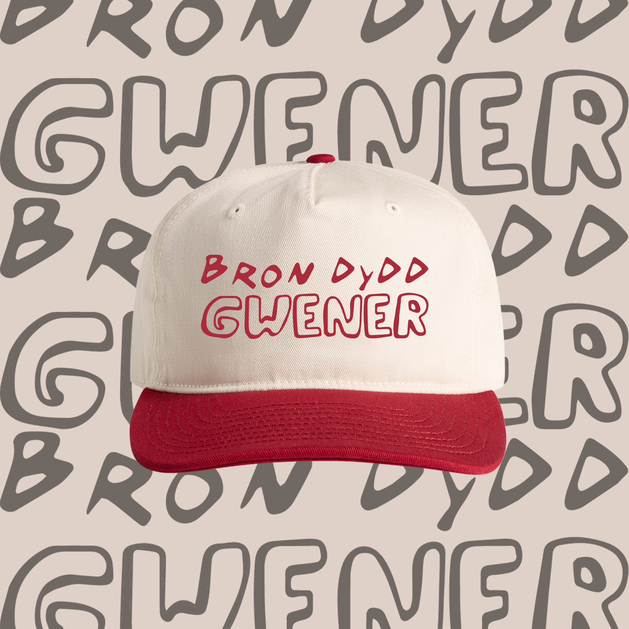 BDG Two Tone Cap