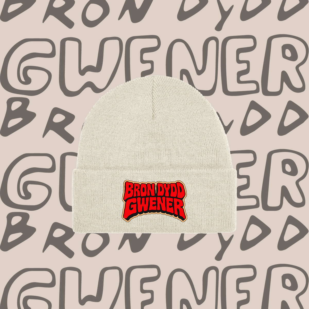 BDG Graphic Text Beanie